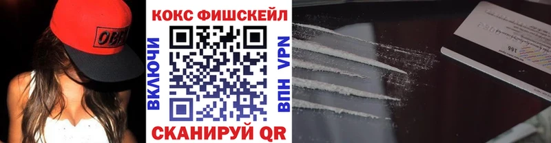 продажа наркотиков  Саянск  COCAIN Fish Scale 