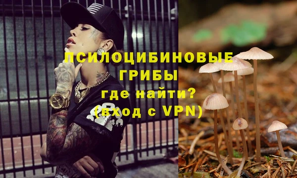 стафф Балабаново